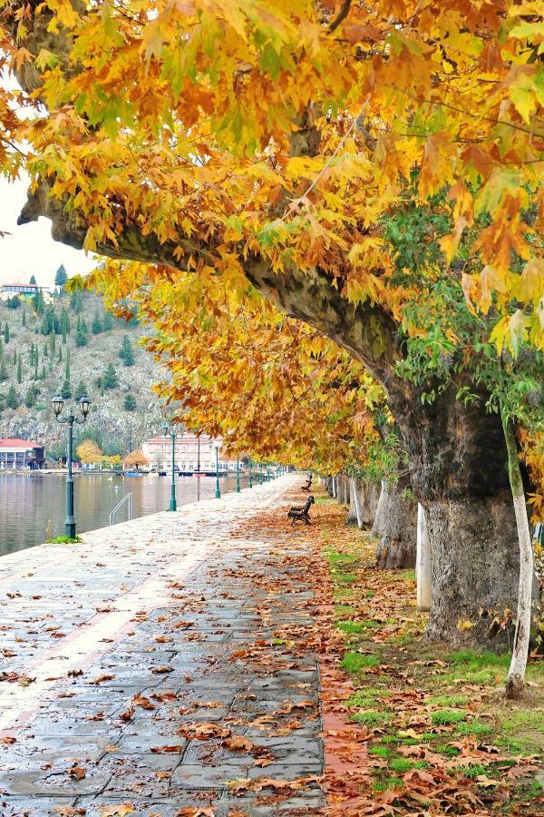 Kasoni Home , Απόλυτα Κεντρικό Διαμέρισμα Μπροστά Στη Λίμνη Kastoria Extérieur photo