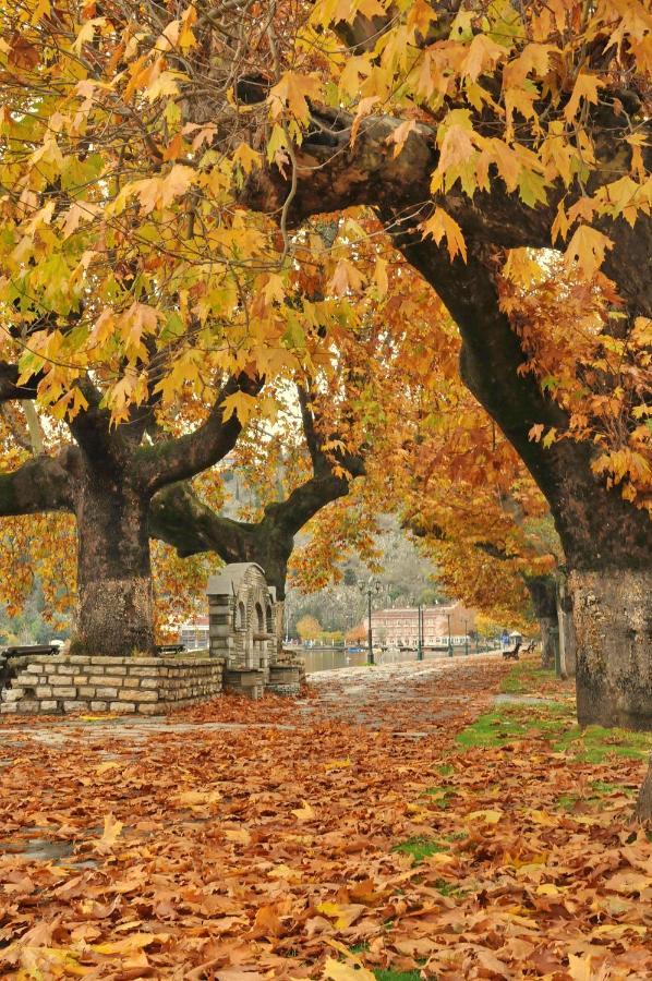 Kasoni Home , Απόλυτα Κεντρικό Διαμέρισμα Μπροστά Στη Λίμνη Kastoria Extérieur photo